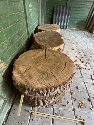 9x Eikenhouten schijf